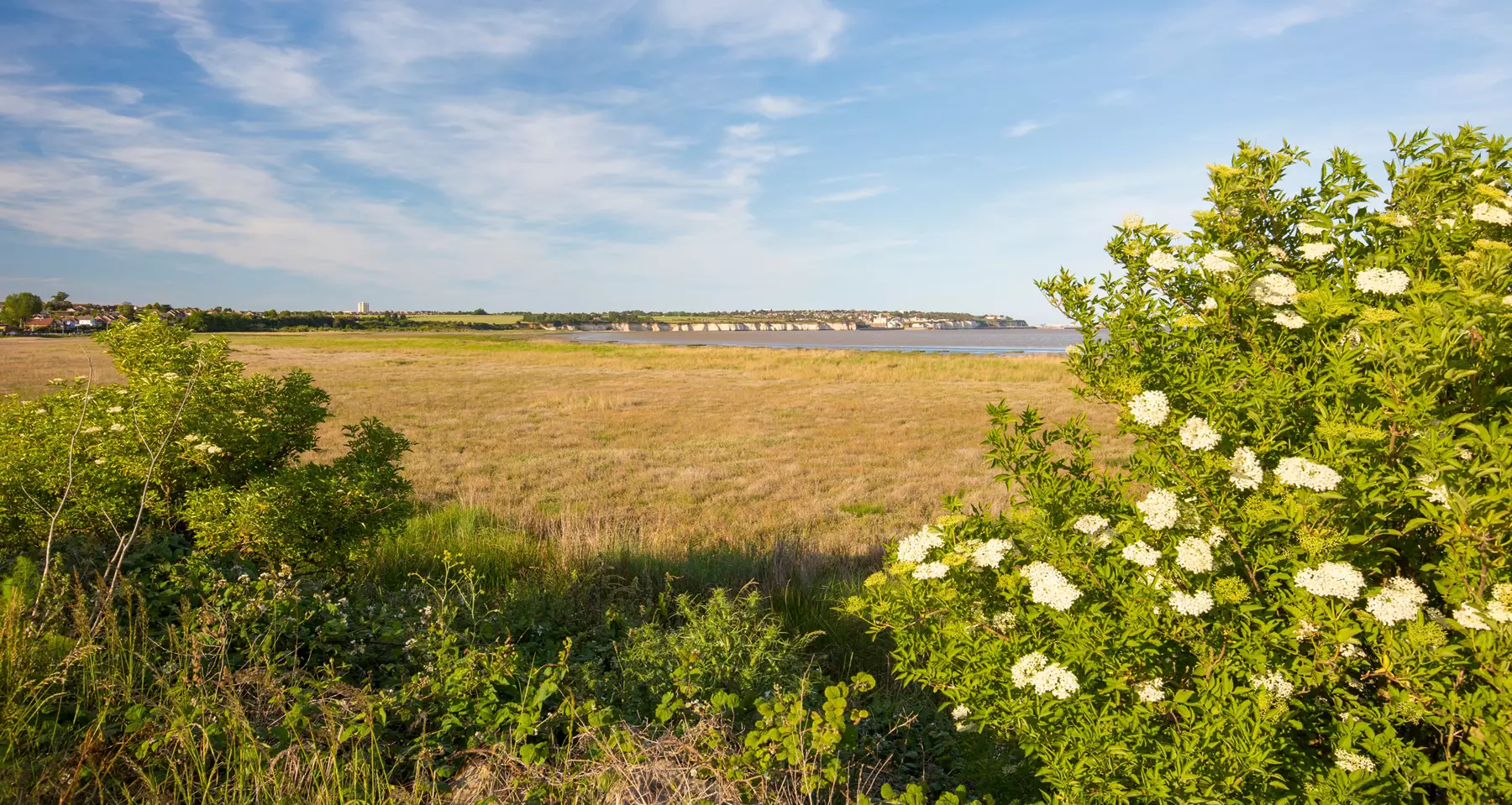 Pegwell Bay